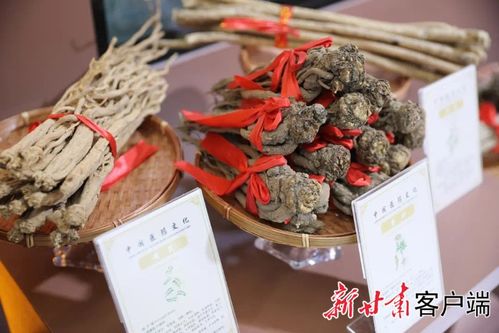 先睹為快 | 第三十屆蘭洽會(huì)生物醫(yī)藥館布展工作圓滿(mǎn)完成，生物制品領(lǐng)域亮點(diǎn)紛呈